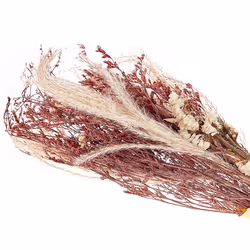 Dried Flower Bouquet 50 cm Pink ZAMORA