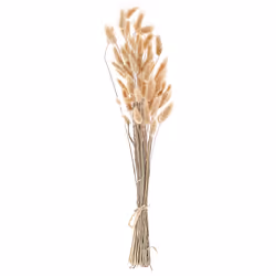 Dried Flower Bouquet 58 cm Natural SANABRIA