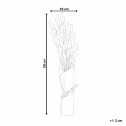 Dried Flower Bouquet 58 cm Natural SANABRIA