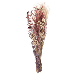 Dried Flower Bouquet 55 cm Pink ARABA