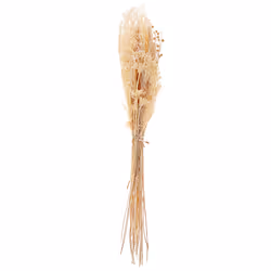Dried Flower Bouquet 65 cm Natural BRUNETE