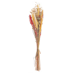 Dried Flower Bouquet 65 cm Red and Yellow PAMPELUNA