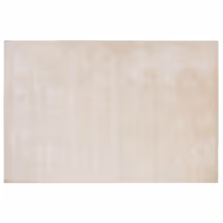 Viscose Area Rug 160 x 230 cm Light Beige GESI II
