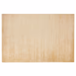 Viscose Area Rug 160 x 230 cm Sand Beige GESI II