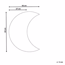 Wall Mirror PESMES 40 cm 60 cm Silver