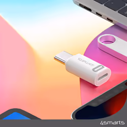 4smarts 540711 cable gender changer Lightning USB-C White