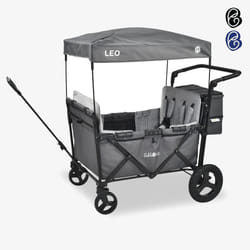 FableKids 4252023107310 baby carriage Grey
