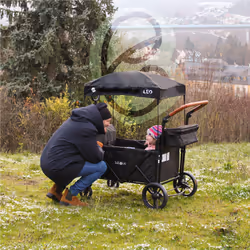 FableKids 4252023107310 baby carriage Grey