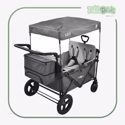 FableKids 4252023107310 baby carriage Grey
