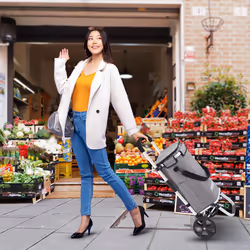 AREBOS 3in1 shopping trolley | trolley large 56 L| shopping trolley with cooler compartment | shopping bag with wheels | foldable shopper | grey