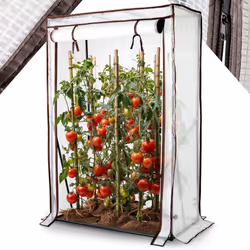 AREBOS tomato greenhouse film greenhouse | greenhouse small | tomato house, greenhouse with roll-up door | 100 x 50 x 150 cm ...