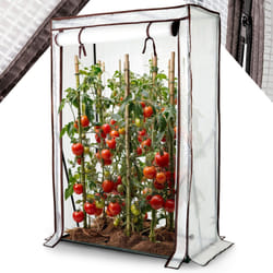 AREBOS tomato greenhouse film greenhouse | greenhouse small | tomato house, greenhouse with roll-up door | 100 x 50 x 150 cm | greenhouse film