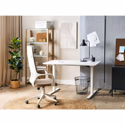 Electric Adjustable Standing Desk 120 x 60 cm White GRIFTON