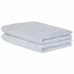 Set of 2 Cotton Terry Towels Mint Green MITIARO