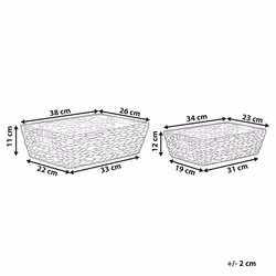 Set of 2 Baskets PANDZ Wicker Dark Brown