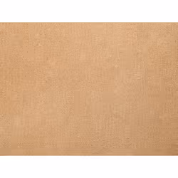 Blanket 200 x 220 cm Sand Beige BAYBURT
