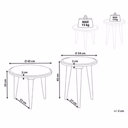 Set of 2 Side Tables EKAMBA Mango Wood Light Green
