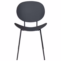 Set of 2 Dining Chairs SHONTO Black