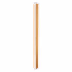 Outdoor LED Wall Light ROSALIE Gold