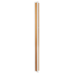 Outdoor LED Wall Light ROSALIE Gold