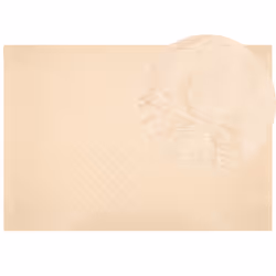 Faux Rabbit Fur Rug 160 x 230 cm Beige GHARO