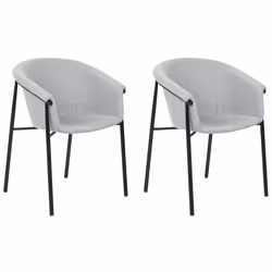 Set of 2 Dining Chairs AMES Light Grey