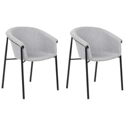 Set of 2 Dining Chairs AMES Light Grey