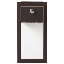 Outdoor LED Wall Light ELLIOT with Motion Sensor Black