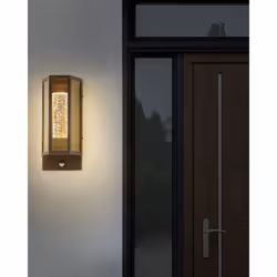 Outdoor LED Wall Light FRUID with Motion Sensor Brown