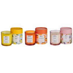 Set of 3 Scented Candles COLORFUL BARREL Soy Wax Oriental Notes Herb Notes Floral Notes