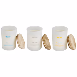 Set of 3 Scented Candles SIMPLICITY Soy Wax Fruity Notes Fresh Notes