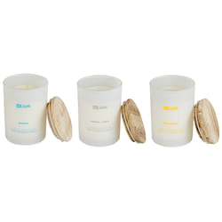 Set of 3 Scented Candles SIMPLICITY Soy Wax Fruity Notes Fresh Notes