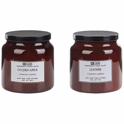 Set of 2 Scented Candles ABSOLUTE ALCHEMY Soy Wax Fruity Notes Fresh Notes