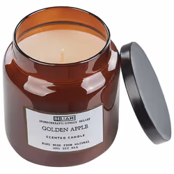 Set of 2 Scented Candles ABSOLUTE ALCHEMY Soy Wax Fruity Notes Fresh Notes