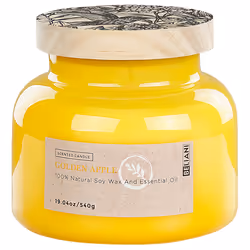 Scented Candle DELIGHT BLISS Soy Wax Fruity Notes