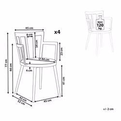 Set of 4 Dining Chairs MORILL Light Green