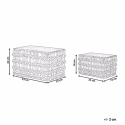 Set of 2 Baskets DIAN Wicker Natural