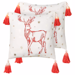 Set of 2 Decorative Cushions VALLOTA Cotton 45 x 45 cm White Christmas Pattern