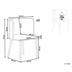 Set of 2 Dining Chairs KOBUK Metal Black