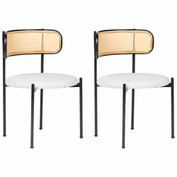 Set of 2 Dining Chairs ANDOVER Metal Black