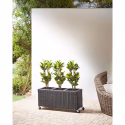 Plant Pot BELLIS PE Rattan 82 cm Black