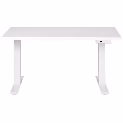 Electric Adjustable Standing Desk 120 x 72 cm White DESTINES