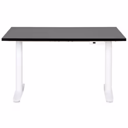 Electric Adjustable Standing Desk 120 x 72 cm Black and White DESTINAS