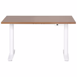 Electric Adjustable Standing Desk 120 x 72 cm Dark Wood and White DESTINAS