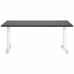 Electric Adjustable Standing Desk 160 x 72 cm Black and White DESTINAS