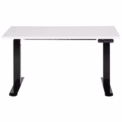 Electric Adjustable Standing Desk 120 x 72 cm White and Black DESTINES