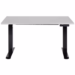 Electric Adjustable Standing Desk 120 x 72 cm Grey and Black DESTINES