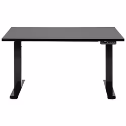 Electric Adjustable Standing Desk 120 x 72 cm Black DESTINES