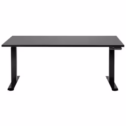Electric Adjustable Standing Desk 160 x 72 cm Black DESTINES