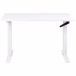Adjustable Standing Desk 120 x 72 cm White DESTINES